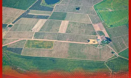 MP ਦੇ ਡਰਾਈਵਰ ਨੂੰ 150 ਕਰੋੜ ਰੁਪਏ ਦੀ ਜ਼ਮੀਨ ਤੋਹਫ਼ੇ ਵਜੋਂ ਕੌਣ ਦੇ ਗਿਆ?