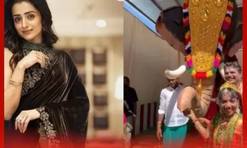 ਮੰਦਰਾਂ ਨੂੰ ਮਕੈਨੀਕਲ ਹਾਥੀ ਗਾਜਾ ਕੀਤੇ ਦਾਨ