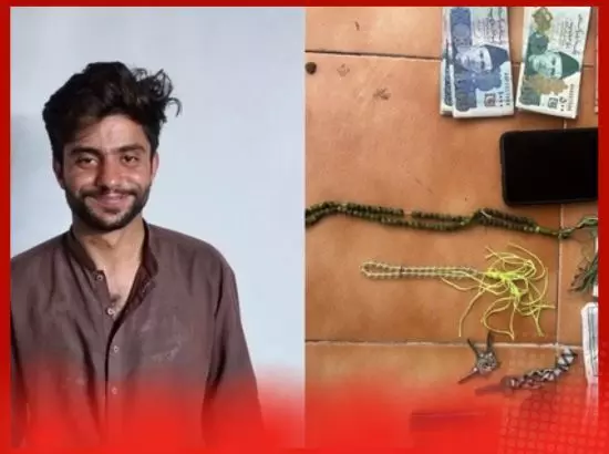 ਰਾਜੌਰੀ: ਕੰਟਰੋਲ ਰੇਖਾ ਤੇ ਵੱਡਾ ਕਾਂਡ ਹੋਣ ਤੋਂ ਬਚਾਇਆ ਫ਼ੋਜੀਆਂ ਨੇ