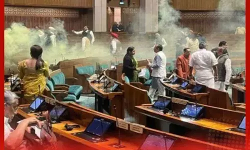 ਸੰਸਦ ਸੁਰੱਖਿਆ ਉਲੰਘਣਾ ਮਾਮਲੇ ਵਿੱਚ ਦੋ ਦੋਸ਼ੀਆਂ ਨੂੰ ਦਿੱਤੀ ਜ਼ਮਾਨਤ