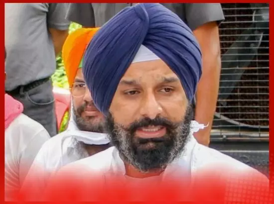 Breaking: ਬਿਕਰਮ ਮਜੀਠੀਆ ਦੀ ਜ਼ਮਾਨਤ ਪਟੀਸ਼ਨ ਖਾਰਜ