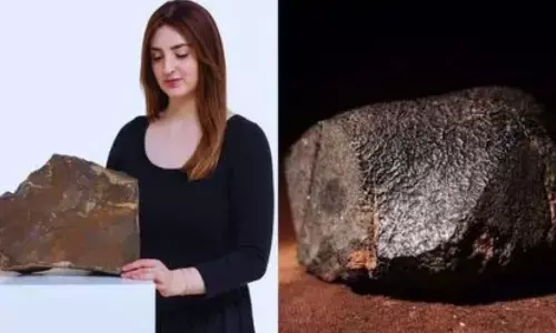 34 ਕਰੋੜ ’ਚ ਨਿਲਾਮ ਹੋਵੇਗਾ ਮੰਗਲ ਗ੍ਰਹਿ ਦਾ ਦੁਰਲੱਭ ਪੱਥਰ!