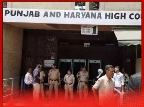 ਪੰਜਾਬ ਵਿੱਚ ਡਾਕਟਰਾਂ ਦੀ ਘਾਟ ਦੇ ਮੁੱਦੇ ਤੇ ਹਾਈ ਕੋਰਟ ਨੇ ਕੀ ਕਿਹਾ ?