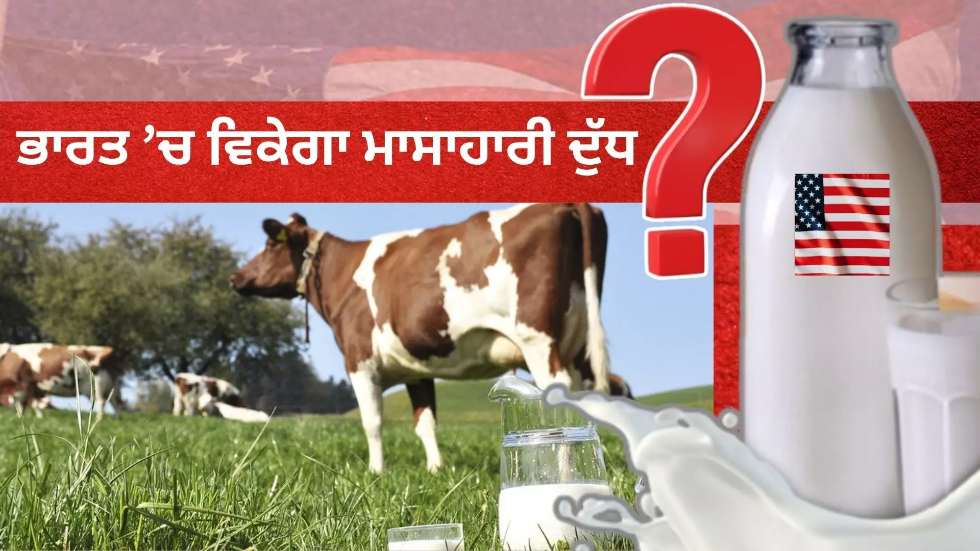 ਜਾਣੋ, ਕੀ ਹੁੰਦਾ ਹੈ ਮਾਸਾਹਾਰੀ ਦੁੱਧ? ਭਾਰਤ ’ਚ ਵੇਚਣ ਦੀ ਜਿੱਦ ਕਰ ਰਿਹਾ ਅਮਰੀਕਾ