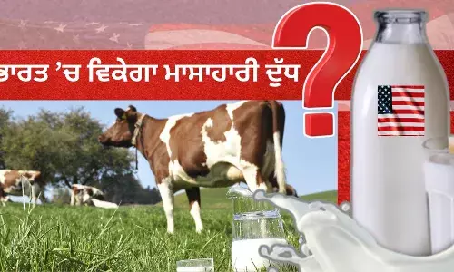 ਜਾਣੋ, ਕੀ ਹੁੰਦਾ ਹੈ ਮਾਸਾਹਾਰੀ ਦੁੱਧ? ਭਾਰਤ ’ਚ ਵੇਚਣ ਦੀ ਜਿੱਦ ਕਰ ਰਿਹਾ ਅਮਰੀਕਾ