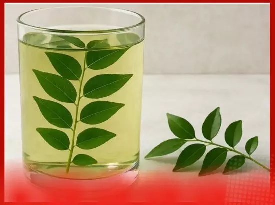 ਸਵੇਰੇ ਖਾਲੀ ਪੇਟ ਇਸ ਪੱਤੇ ਦਾ ਪੀਓ ਪਾਣੀ, ਇਮਿਊਨਿਟੀ ਸੁਧਰੇਗੀ