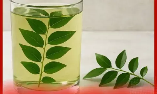 ਸਵੇਰੇ ਖਾਲੀ ਪੇਟ ਇਸ ਪੱਤੇ ਦਾ ਪੀਓ ਪਾਣੀ, ਇਮਿਊਨਿਟੀ ਸੁਧਰੇਗੀ