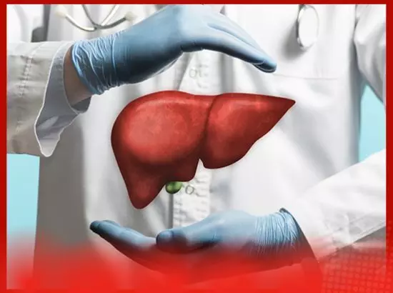 ਕਿਹੜਾ ਭੋਜਨ ਜਿਗਰ ਨੂੰ ਨੁਕਸਾਨ ਪਹੁੰਚਾਉਂਦਾ ਹੈ ?