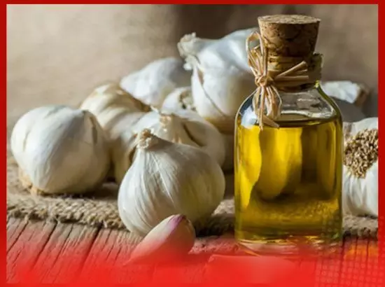 ਲਸਣ ਦਾ ਤੇਲ ਹੱਡੀਆਂ ਲਈ ਬਹੁਤ ਫਾਇਦੇਮੰਦ