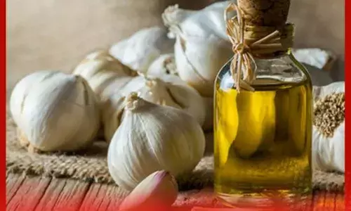 ਲਸਣ ਦਾ ਤੇਲ ਹੱਡੀਆਂ ਲਈ ਬਹੁਤ ਫਾਇਦੇਮੰਦ