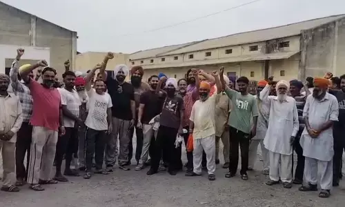 ਸੁਸਰੀ ਨੇ ਪਿੰਡ ਵਾਸੀਆਂ ਦਾ ਜਿਉਣਾ ਕੀਤਾ ਮੁਹਾਲ, ਰੋਟੀ ਖਾਣੀ ਵੀ ਹੋਈ ਦੁੱਭਰ