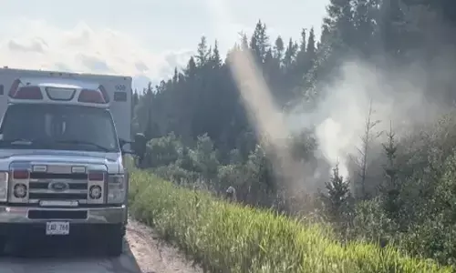 ਕੈਨੇਡਾ ਵਿਚ ਹਵਾਈ ਜਹਾਜ਼ ਕਰੈਸ਼, ਭਾਰਤੀ ਦੀ ਮੌਤ