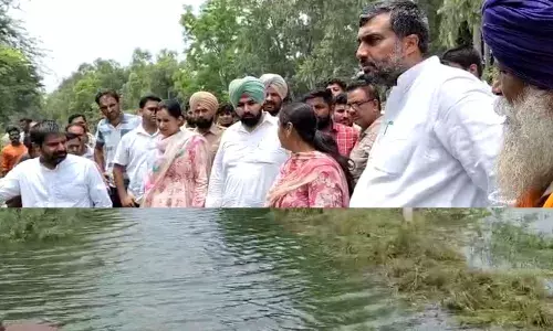 ਜਲਾਲਾਬਾਦ ਚ ਹੜ੍ਹ ਦੇ ਪਾਣੀ ਨੇ ਡੋਬੀਆਂ ਕਿਸਾਨਾਂ ਦੀਆਂ ਫ਼ਸਲਾਂ