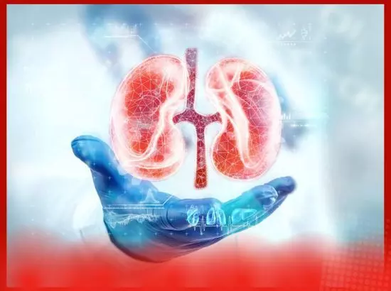 ਗੁਰਦੇ ਫੇਲ੍ਹ ਹੋਣ ਤੋਂ ਬਚਣ ਲਈ ਕਰੋ ਇਹ ਕੰਮ