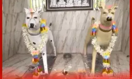 ਕੁੱਤਿਆਂ ਦਾ ਅਨੋਖਾ ਮੰਦਰ: ਇੱਕ ਵਫ਼ਾਦਾਰ ਕੁੱਤੇ ਦੀ ਕਹਾਣੀ ਤੇ ਲੋਕਾਂ ਦੀ ਆਸਥਾ