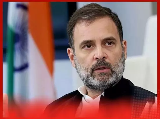 ਰਾਹੁਲ ਗਾਂਧੀ ਨੇ ਆਵਾਰਾ ਕੁੱਤਿਆਂ ਨੂੰ ਹਟਾਉਣ ਦੇ ਫੈਸਲੇ ਤੇ ਕੀ ਕਿਹਾ ?