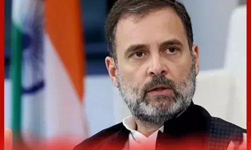 ਰਾਹੁਲ ਗਾਂਧੀ ਨੇ ਆਵਾਰਾ ਕੁੱਤਿਆਂ ਨੂੰ ਹਟਾਉਣ ਦੇ ਫੈਸਲੇ ਤੇ ਕੀ ਕਿਹਾ ?