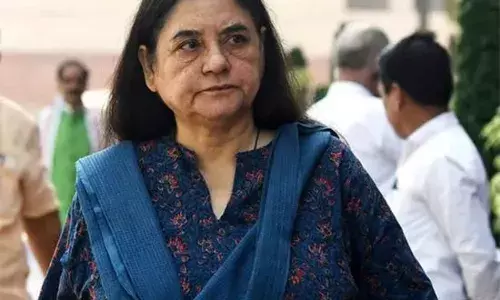 Supreme Court ਦੇ ਆਵਾਰਾ ਕੁੱਤਿਆਂ ਬਾਰੇ ਫੈਸਲੇ ਤੇ ਮੇਨਕਾ ਗਾਂਧੀ ਦਾ ਵੱਡਾ ਬਿਆਨ