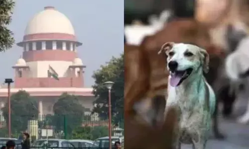 Delhi NCR Dogs: ਦਿੱਲੀ ਦੇ ਅਵਾਰਾ ਕੁੱਤਿਆਂ ਤੇ ਸੁਪਰੀਮ ਕੋਰਟ ਚ ਸੁਣਵਾਈ ਭਲਕੇ, ਤਿੰਨ ਜੱਜ ਕਰਨਗੇ ਮਾਮਲੇ ਦੀ ਸੁਣਵਾਈ