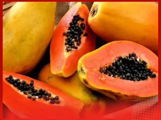 ਰੋਜ਼ ਸਵੇਰੇ ਇੱਕ ਕਟੋਰੀ ਪਪੀਤਾ ਖਾਓ, ਸ਼ਾਨਦਾਰ ਫਾਇਦੇ