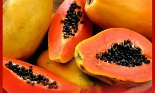 ਰੋਜ਼ ਸਵੇਰੇ ਇੱਕ ਕਟੋਰੀ ਪਪੀਤਾ ਖਾਓ, ਸ਼ਾਨਦਾਰ ਫਾਇਦੇ