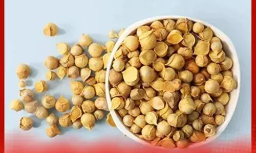 ਕਸ਼ਮੀਰੀ ਲਸਣ ਨਾੜੀਆਂ ਵਿੱਚ ਫਸੇ ਸਭ ਤੋਂ ਗੰਦੇ ਕੋਲੈਸਟ੍ਰੋਲ ਨੂੰ ਫਿਲਟਰ ਕਰਦੈ