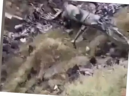 ਹੈਲੀਕਾਪਟਰ ਹਾਦਸਾ, ਹੜ੍ਹ ਪ੍ਰਭਾਵਿਤ ਇਲਾਕੇ ਚ ਬਚਾਅ ਕਾਰਜ ਦੌਰਾਨ 5 ਲੋਕਾਂ ਦੀ ਮੌਤ