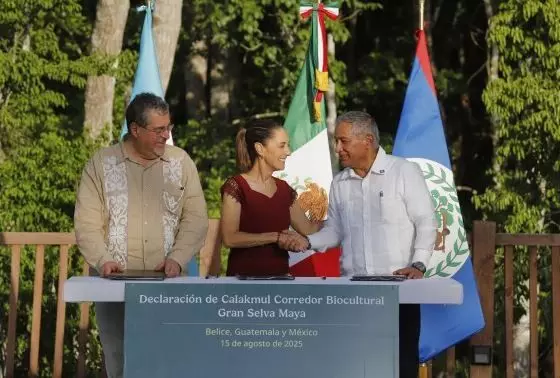 Global Warming: ਜੰਗਲਾਂ ਨੂੰ ਬਚਾਉਣ ਲਈ ਤਿੰਨ ਮੁਲਕਾਂ ਨੇ ਮਿਲਾਇਆ ਹੱਥ