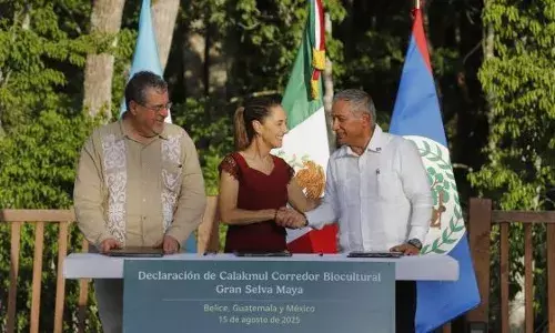 Global Warming: ਜੰਗਲਾਂ ਨੂੰ ਬਚਾਉਣ ਲਈ ਤਿੰਨ ਮੁਲਕਾਂ ਨੇ ਮਿਲਾਇਆ ਹੱਥ