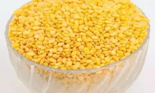 Health News; ਕੀ ਤੁਹਾਨੂੰ ਪਤਾ ਹਨ ਮੂੰਗੀ ਦੇ ਦਾਲ ਦੇ ਜ਼ਬਰਦਸਤ ਫ਼ਾਇਦੇ, ਕਦੇ ਵੀ ਸਰੀਰ ਚ ਨਹੀਂ ਹੋਵੇਗੀ ਕਮਜ਼ੋਰੀ
