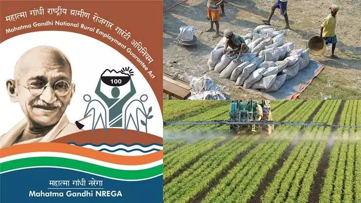 ਮਨਰੇਗਾ ਘੋਟਾਲਾ: ਪੰਜਾਬ ਚ 4916 ਨੌਕਰੀ ਕਾਰਡ ਮਿਲੇ ਫ਼ਰਜ਼ੀ