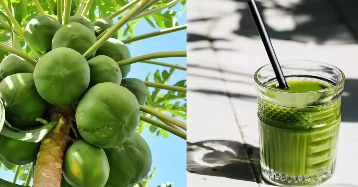 Health News: ਕੱਚੇ ਪਪੀਤੇ ਦੇ ਜੂਸ ਚ ਲੁਕਿਆ ਸਿਹਤ ਖ਼ਜ਼ਾਨਾ , ਰੋਜ਼ਾਨਾ ਪੀਣ ਨਾਲ ਹੋਣਗੀਆਂ ਇਹ ਸਮੱਸਿਆਵਾਂ ਦੂਰ