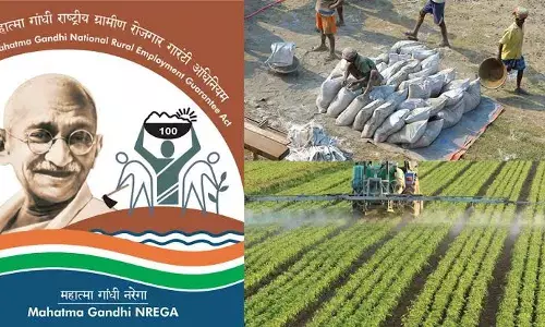 ਮਨਰੇਗਾ ਘੋਟਾਲਾ: ਪੰਜਾਬ ਚ 4916 ਨੌਕਰੀ ਕਾਰਡ ਮਿਲੇ ਫ਼ਰਜ਼ੀ