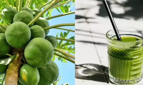 Health News: ਕੱਚੇ ਪਪੀਤੇ ਦੇ ਜੂਸ ਚ ਲੁਕਿਆ ਸਿਹਤ ਖ਼ਜ਼ਾਨਾ , ਰੋਜ਼ਾਨਾ ਪੀਣ ਨਾਲ ਹੋਣਗੀਆਂ ਇਹ ਸਮੱਸਿਆਵਾਂ ਦੂਰ