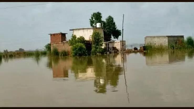 Heavy Rain In Punjab: ਪੰਜਾਬ ਬਣੇ ਹੜ੍ਹ ਦੇ ਹਾਲਾਤ, ਖ਼ਤਰੇ ਦੇ ਨਿਸ਼ਾਨ ਤੇ ਪੁੱਜਿਆ ਸਤਲੁਜ ਦਰਿਆ
