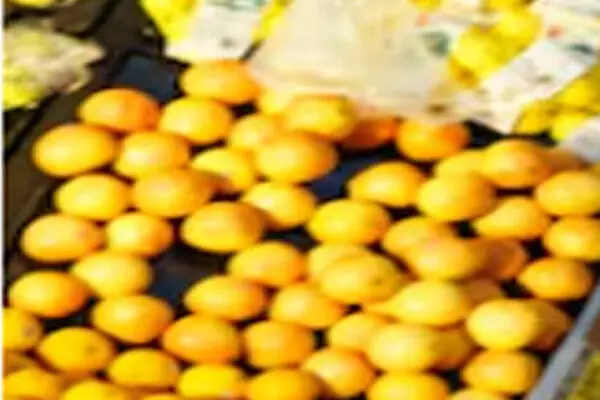 ਕੈਨੇਡਾ ’ਚ ਮਹਿੰਗਾਈ ਘਟੀ, ਖੁਰਾਕੀ ਵਸਤਾਂ ਹੋਈਆਂ ਮਹਿੰਗੀਆਂ