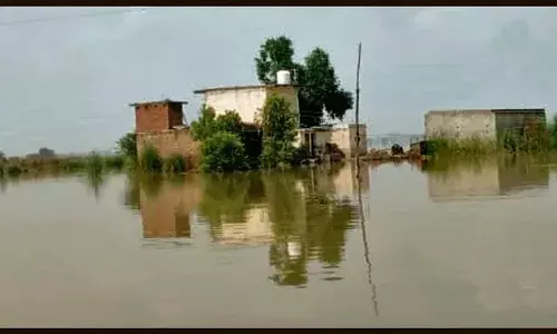 Heavy Rain In Punjab: ਪੰਜਾਬ ਬਣੇ ਹੜ੍ਹ ਦੇ ਹਾਲਾਤ, ਖ਼ਤਰੇ ਦੇ ਨਿਸ਼ਾਨ ਤੇ ਪੁੱਜਿਆ ਸਤਲੁਜ ਦਰਿਆ