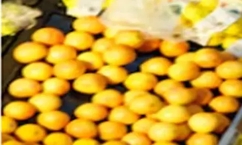 ਕੈਨੇਡਾ ’ਚ ਮਹਿੰਗਾਈ ਘਟੀ, ਖੁਰਾਕੀ ਵਸਤਾਂ ਹੋਈਆਂ ਮਹਿੰਗੀਆਂ