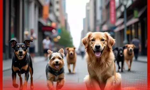 ਕੁੱਤਿਆਂ ਤੇ ਸਖ਼ਤ ਨਿਯਮ ਵਾਲੇ ਦੇਸ਼ਾਂ ਬਾਰੇ ਜਾਣੋ