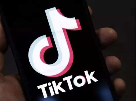 TikTok ਦੇ ਭਾਰਤ ਵਿੱਚ ਵਾਪਸੀ ਦੀਆਂ ਖ਼ਬਰਾਂ ਝੂਠੀਆਂ, ਸਰਕਾਰ ਨੇ ਕੀਤਾ ਖੰਡਨ