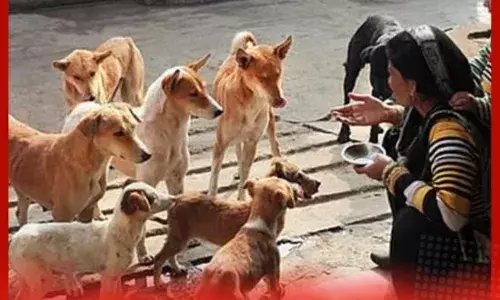 ਕਾਲਜ ਤੋਂ ਵਾਪਸ ਆ ਰਹੀ ਵਿਦਿਆਰਥਣ ਤੇ ਆਵਾਰਾ ਕੁੱਤਿਆ ਦਾ ਹਮਲਾ