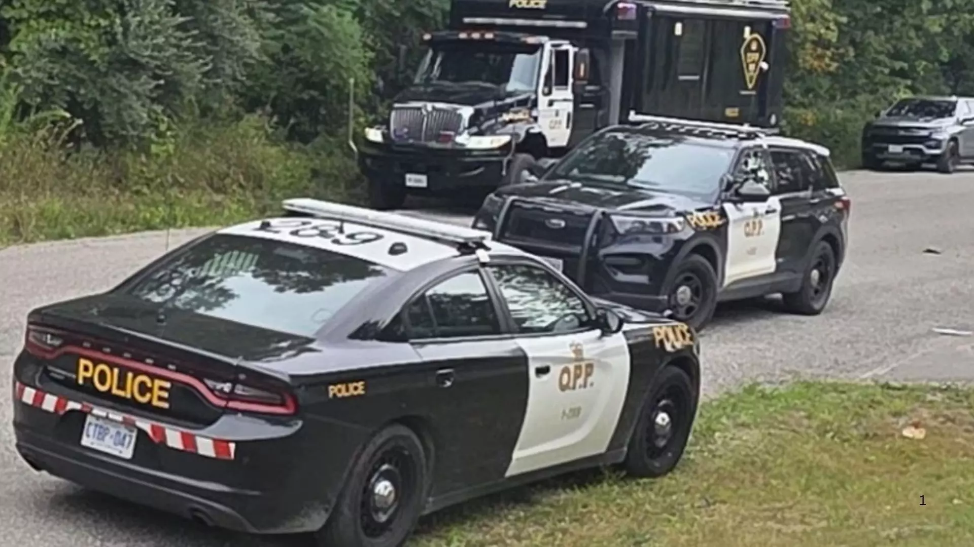 ਕੈਲੇਡਨ ਚ ਰਿਹਾਇਸ ਤੇ ਹੋਈ ਗੋਲੀਬਾਰੀ,ਗੋਲੀਬਾਰੀ ਚ 3 ਲੋਕ ਜਖ਼ਮੀ