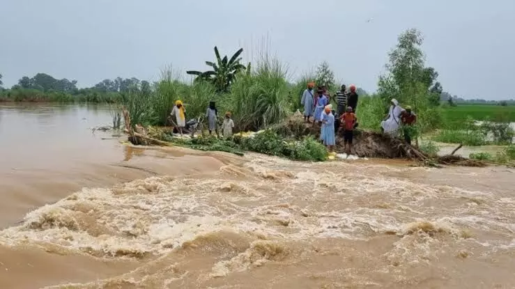 Punjab Weather: ਪੰਜਾਬ ਚ ਮੀਂਹ ਦਾ ਕਹਿਰ, ਪਠਾਨਕੋਟ ਵਿੱਚ ਦੋ ਬੱਚਿਆਂ ਦੀ ਮੌਤ