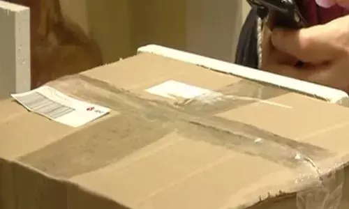 ਯੂਰਪੀ ਮੁਲਕਾਂ ਨੇ ਅਮਰੀਕਾ ਡਾਕ ਭੇਜਣੀ ਕੀਤੀ ਬੰਦ