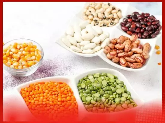 ਦਾਲਾਂ, ਰਾਜਮਾ ਅਤੇ ਛੋਲਿਆਂ ਨੂੰ ਕਿੰਨੀ ਦੇਰ ਭਿਉਂ ਕੇ ਪਕਾਉਣਾ ਚਾਹੀਦੈ ?