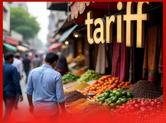 ਅਮਰੀਕਾ ਦੇ ਟੈਰਿਫ ਫੈਸਲੇ ਦਾ ਭਾਰਤੀ ਉਦਯੋਗਾਂ ਤੇ ਕੀ ਅਸਰ ਪਵੇਗਾ ?