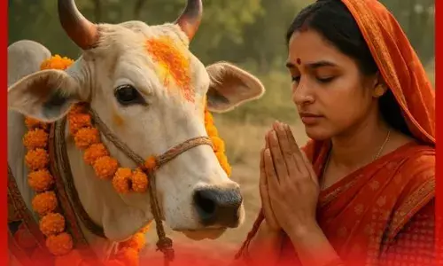 ਗਾਵਾਂ ਬਾਰੇ ਅਦਾਲਤ ਦਾ ਵੱਡਾ ਬਿਆਨ, ਪੜ੍ਹੋ ਕੀ ਕਿਹਾ ?