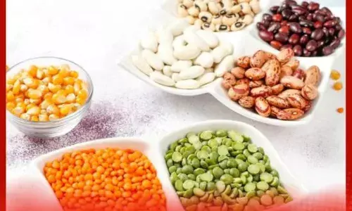 ਦਾਲਾਂ, ਰਾਜਮਾ ਅਤੇ ਛੋਲਿਆਂ ਨੂੰ ਕਿੰਨੀ ਦੇਰ ਭਿਉਂ ਕੇ ਪਕਾਉਣਾ ਚਾਹੀਦੈ ?