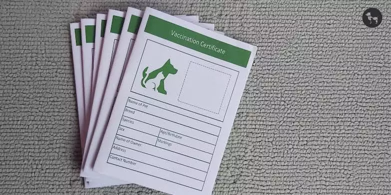 ਪੰਜਾਬੀਆਂ ਲਈ ਖ਼ੁਸ਼ਖ਼ਬਰੀ: ਘਰ ਬੈਠੇ ਬਣਾਓ ਪਾਲਤੂ ਜਾਨਵਰਾਂ ਦੇ ਲਾਈਸੈਂਸ