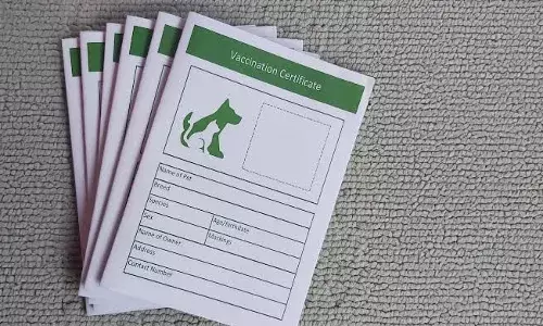 ਪੰਜਾਬੀਆਂ ਲਈ ਖ਼ੁਸ਼ਖ਼ਬਰੀ: ਘਰ ਬੈਠੇ ਬਣਾਓ ਪਾਲਤੂ ਜਾਨਵਰਾਂ ਦੇ ਲਾਈਸੈਂਸ